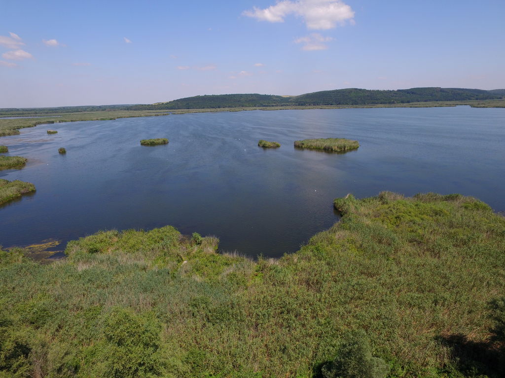 Биосферен резерват Сребърна - Вила.бг