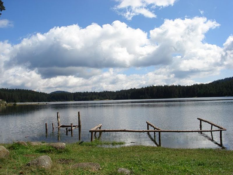 Язовир Широка поляна - Вила.бг