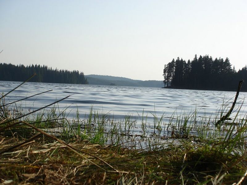 Язовир Широка поляна - Вила.бг