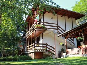 Guest house Priyateli