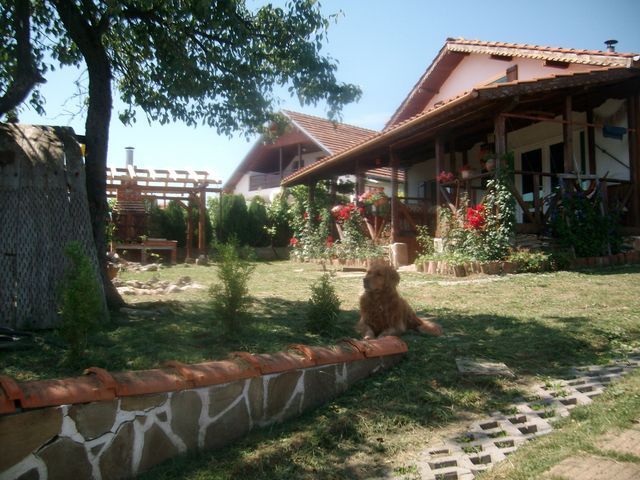 Отвори галерията