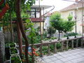 Guest house Lyato