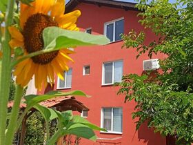 Guest house The Sunflowers