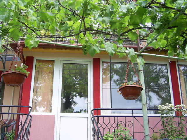 Отвори галерията