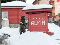 Коттеджный поселок Алпин