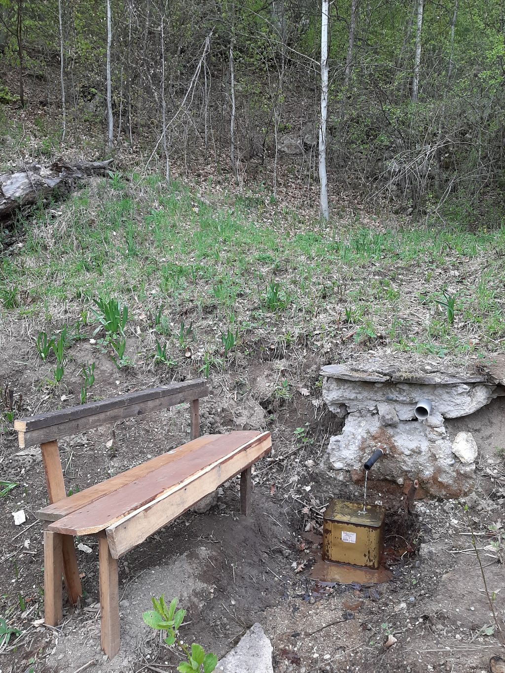 Къща за гости Мими - град Смолян