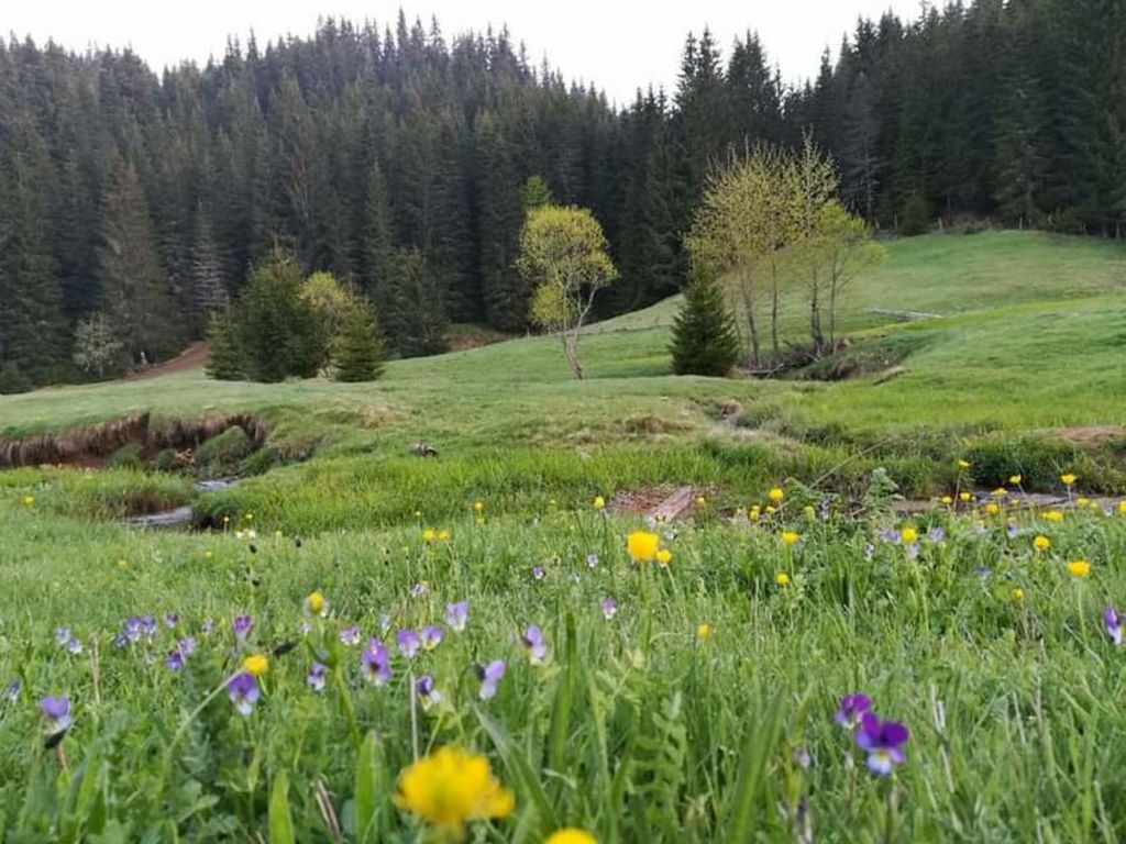 Къща за гости Кума Лиса - село Кожари, Община Борино