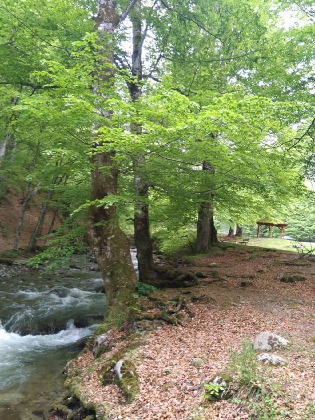 Хотел Стар мерак - село Рибарица, Община Тетевен