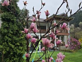 Къща за гости Почивка