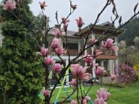 Guest house Pochivka