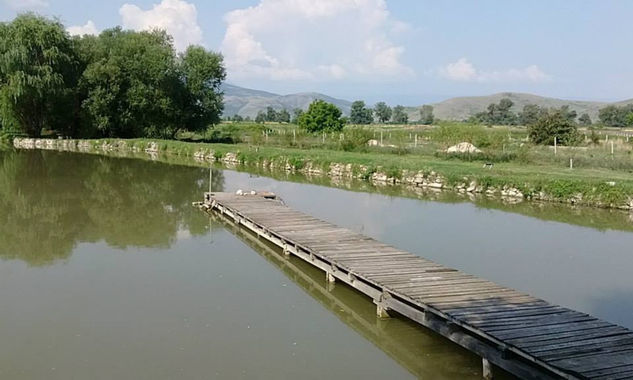 Вила Юстина - село Устина, Община Родопи