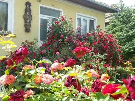 Къща за гости Стефани