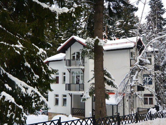 Open gallery