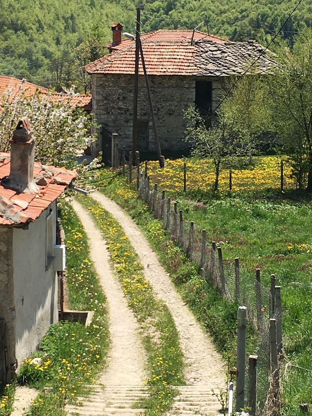 Вила Караджата - село Врата, Община Асеновград