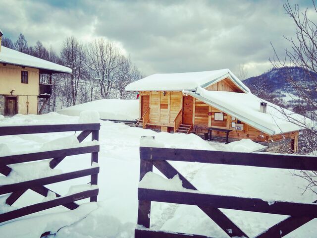 Отвори галерията