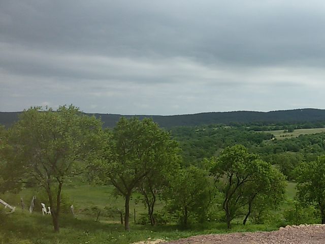 Отвори галерията