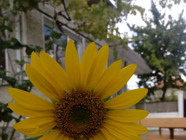 Отвори галерията