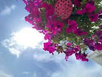 Вила под наем Тарфа