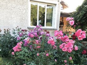 Вила под наем Розова градина