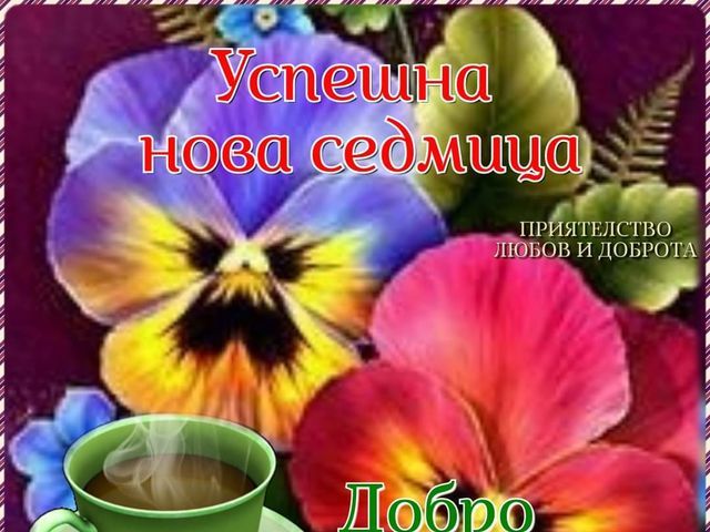 Отвори галерията