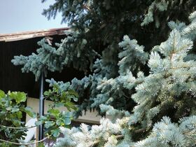 Вила Dream House Горица