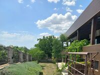 Guest rooms Forest View 