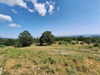 Комнаты в аренду Forest View