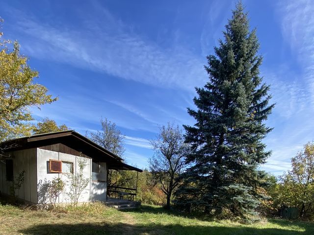 Отвори галерията