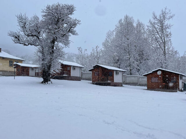 Отвори галерията