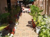 Rooms for rent Guest house Dichevi