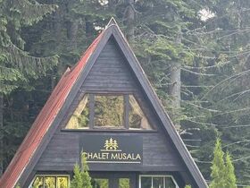 Вила под наем Chalet Musala