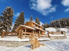 Villa for rent Shale Izgled