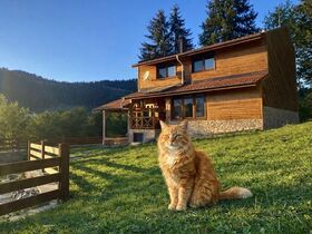 Вила под наем Шале Изглед