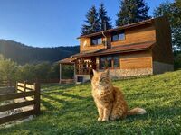 Вила под наем Шале Изглед