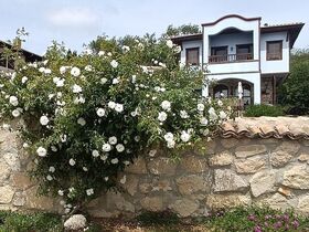 Къща под наем Момино