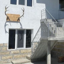 Стела Белчева