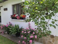 Guest house Kostovi