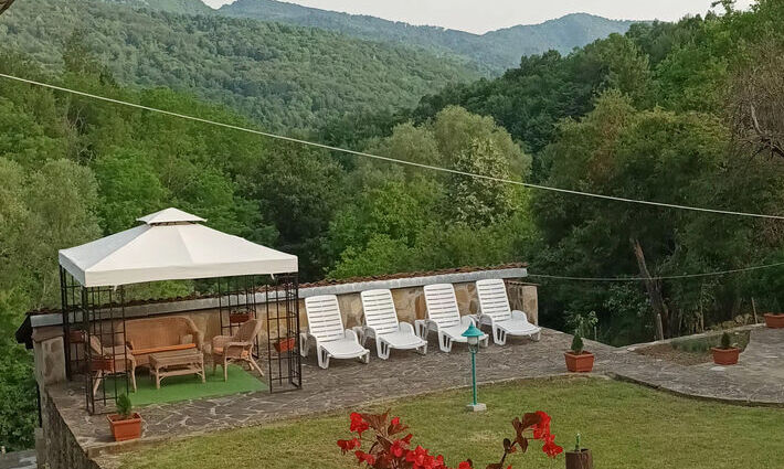 Коледа в Балкана