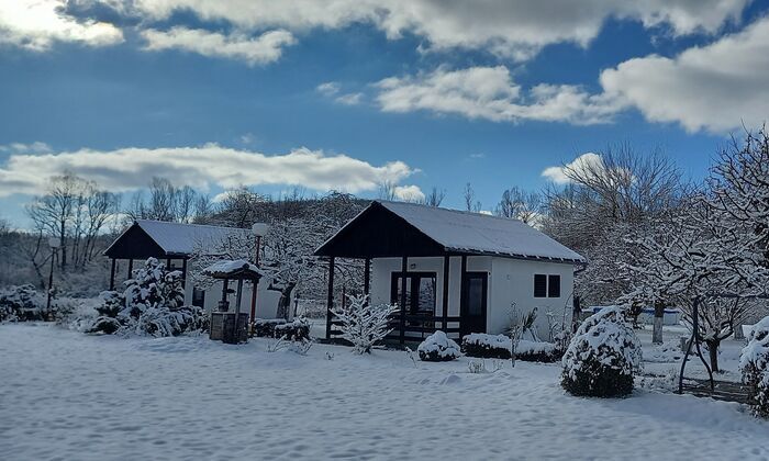 Коледа в Еленския Балкан