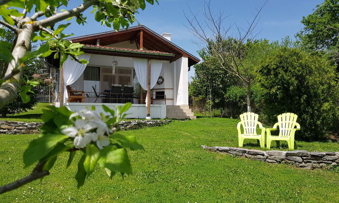 Свободна за Нова година