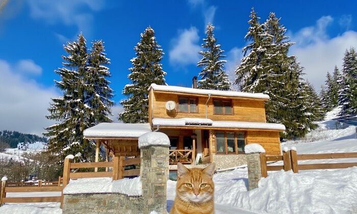 Уютно шале, сгушено в склоновете на Родопа