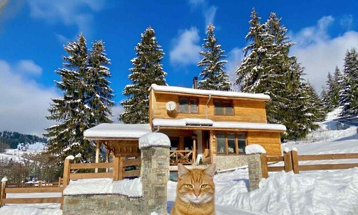 Потопи се в снежната магия на Чепеларе!