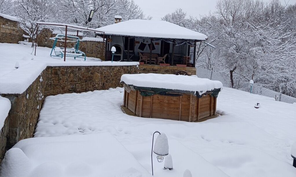 3 + 1 подарък