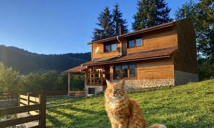 Почувствайте пролетта в Родопите!